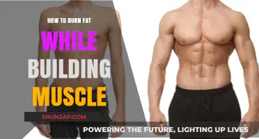 Sculpt Your Physique: The Ultimate Guide to Fat Loss and Muscle Gain