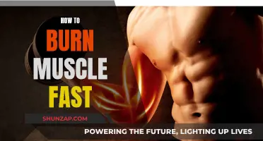 Burning Muscle: Fast and Effective Strategies for Success