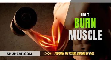 Build Muscle, Burn Fat: Strategies for a Lean Body