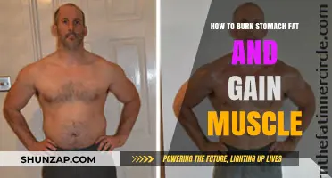Effective Strategies to Burn Stomach Fat and Build Muscle Fast