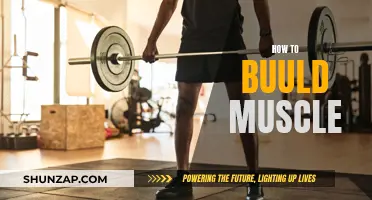 Building Muscle: Effective Strategies for Strength and Growth