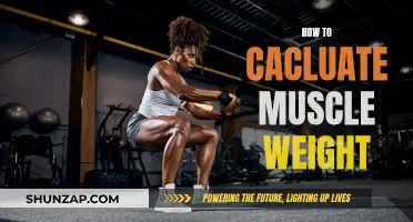 Understanding Muscle Weight: Calculating Your Lean Body Mass