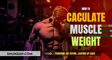 Understanding Muscle Weight: Calculating Your Lean Body Mass