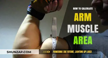 Accurately Measuring Arm Muscle Area: A Step-by-Step Calculation Guide
