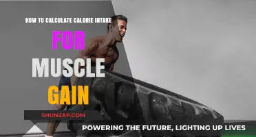 Calculate Calorie Intake for Optimal Muscle Gain: A Comprehensive Guide