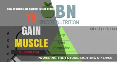 Calculate Your Calorie Intake for Effective Muscle Gain