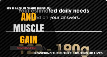 Mastering Calorie Calculations for Fat Loss and Muscle Gain Goals