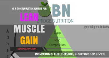 Effective Calorie Calculation Strategies for Lean Muscle Gain Success
