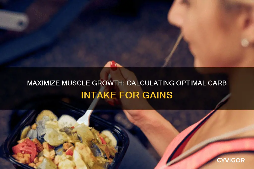 how to calculate carb intake for muscle gain