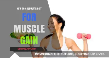 Effective Diet Calculation Strategies for Optimal Muscle Gain Results