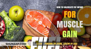 Calculate Fat Intake for Muscle Gain: A Step-by-Step Guide