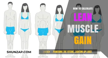 Mastering Lean Muscle Gain: Calculation Tips for Optimal Results