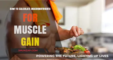 Mastering Macronutrient Calculations for Effective Muscle Gain Strategies