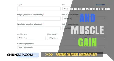 Mastering Macro Calculations: Optimize Fat Loss and Muscle Gain
