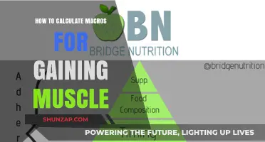 Mastering Muscle Gain: A Step-by-Step Guide to Calculating Macros