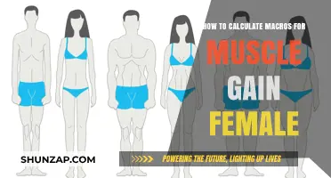 Female Muscle Gain: Mastering Macro Calculations for Optimal Results
