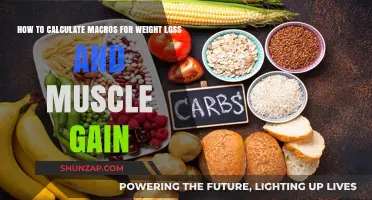 Mastering Macros: Your Guide to Weight Loss and Muscle Gain