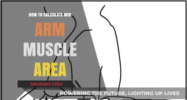 Mastering Mid Arm Muscle Area Calculation: A Step-by-Step Guide
