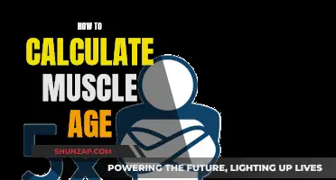 Unlocking Muscle Age: Calculating Your Body's Muscle Timeline