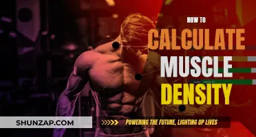Understanding Muscle Density: Calculating Your Body's Muscle Mass