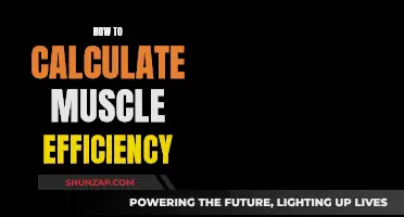 Maximizing Muscle Efficiency: Calculating Your Body's Performance