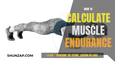 Muscle Endurance Measurement: Calculating Your Body's Resilience