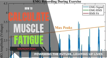 Measuring Muscle Fatigue: Understanding Performance and Recovery