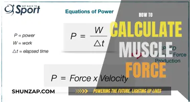 Unraveling Muscle Force Calculations: A Comprehensive Guide