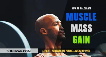Effective Strategies to Calculate and Maximize Your Muscle Mass Gain