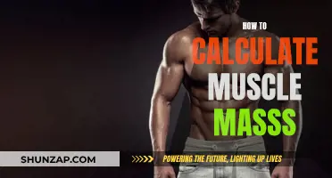 Calculating Muscle Mass: Understanding Your Body's Composition