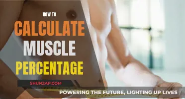 Understanding Muscle Composition: Calculating Your Muscle Percentage
