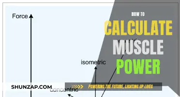 Muscle Power Calculation: Understanding the Science of Strength