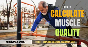 Assessing Muscle Quality: Calculating Your Body's Performance