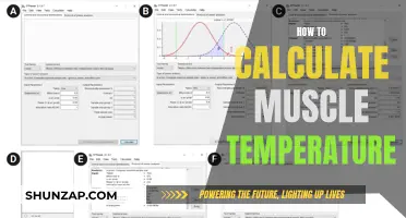 Monitoring Muscle Temperature: A Guide to Calculation Methods