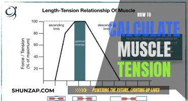 Calculating Muscle Tension: Understanding the Fundamentals of Myofascial Release