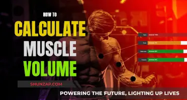 Muscle Volume Calculation: Understanding the Science for Growth