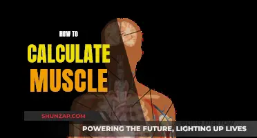 Understanding Muscle Growth: Calculating Your Muscle Gain