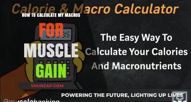 Mastering Macro Calculations for Effective Muscle Gain Strategies