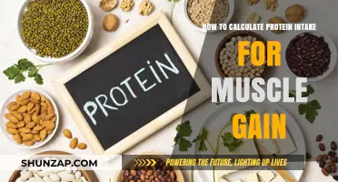 Calculate Protein Intake for Optimal Muscle Gain: A Step-by-Step Guide