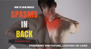 Soothing Back Muscle Spasms: Effective Remedies and Prevention Tips