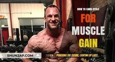 Carb Cycling for Muscle Gain: Strategies to Fuel Your Growth
