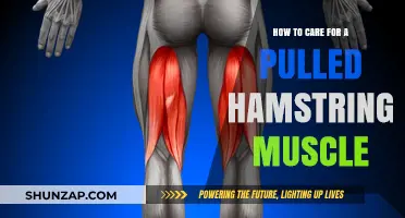 Effective Pulled Hamstring Care: Recovery Tips and Prevention Strategies