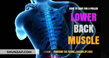Effective Pulled Lower Back Muscle Care: Tips for Quick Recovery
