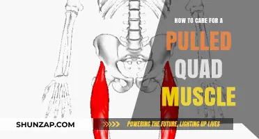 Effective Pulled Quad Muscle Care: Recovery Tips and Healing Strategies