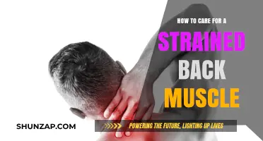 Ease Your Ache: A Guide to Caring for a Strained Back Muscle