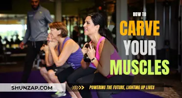 The Ultimate Guide to Carving Your Dream Physique