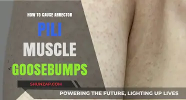 Triggering Goosebumps: Arrector Pili Muscle Stimulation