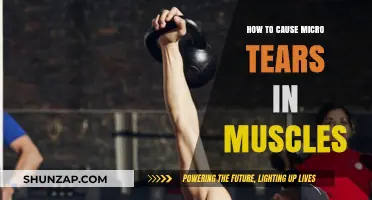Micro Tears: Stimulating Muscle Growth Through Controlled Damage