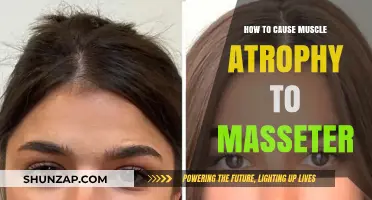 Atrophying the Masseter: Strategies for Reducing Jaw Muscle Mass