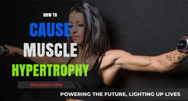 Triggering Muscle Hypertrophy: The Ultimate Guide